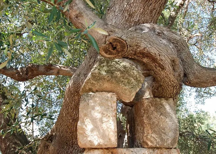 Masseria Terramare